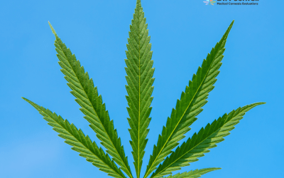 Blog 14 Step-by-Step Guide to Renewing Your Medical Cannabis Card