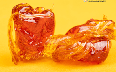 Blog 13 Medical Cannabis for Chronic Pain Management 2024