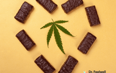 Blog 19 Does Cannabis Help with PTSD? Latest information 2024