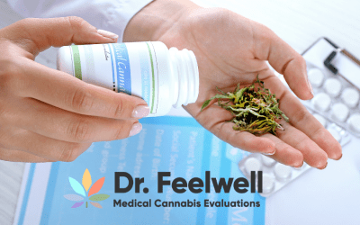 Blog 20 Your Guide to Obtaining a Medical Cannabis Card Online